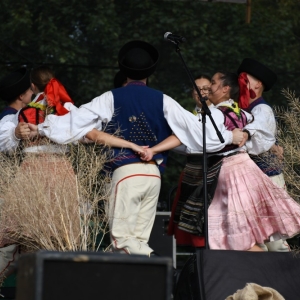 dozynki-legpol-fot-ewajak271.JPG