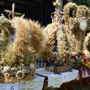dozynki-ruja-fot-joanna-ziezula008.JPG