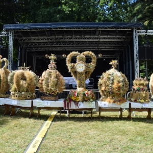 dozynki-ruja-fot-joanna-ziezula012.JPG