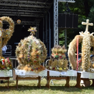 dozynki-ruja-fot-joanna-ziezula013.JPG