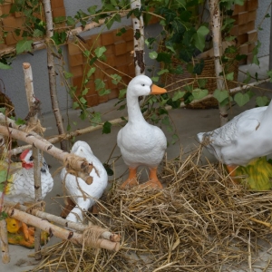 piknik-artystyczny-fot-zjak028.JPG