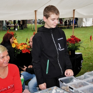 piknik-artystyczny-fot-zjak050.JPG