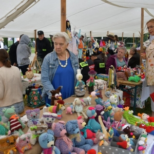 piknik-artystyczny-fot-zjak067.JPG