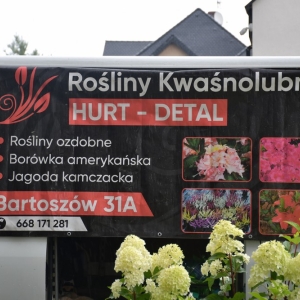 piknik-artystyczny-fot-zjak070.JPG