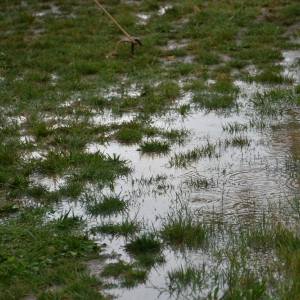 piknik-artystyczny-fot-zjak098.JPG