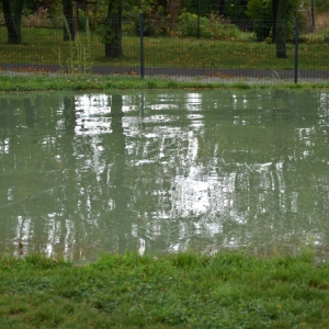 piknik-artystyczny-fot-zjak104.JPG