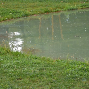 piknik-artystyczny-fot-zjak105.JPG