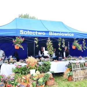 dozynki_kunice_fot_dawid_soltys040.JPG