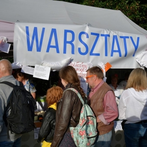 festival-kapusty-fot-ewajak121.JPG