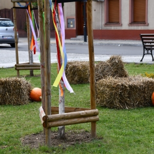 dozynki-prochowice-fot-zbigniew-jakubowski068.jpg