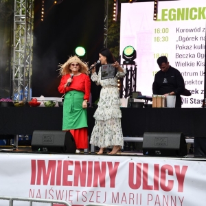 swieto_ogorka_fot_dawid_soltys013.JPG