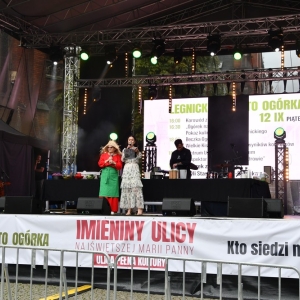 swieto_ogorka_fot_dawid_soltys014.JPG