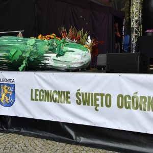 swieto_ogorka_fot_dawid_soltys023.JPG