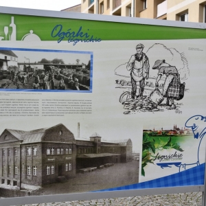 swieto_ogorka_fot_dawid_soltys170.JPG