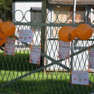 bezdomianki-lato-fot-zjak01.JPG