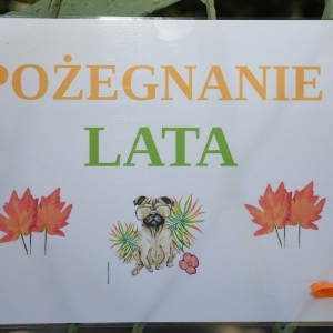 bezdomianki-lato-fot-zjak02.JPG