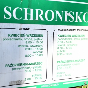 bezdomianki-lato-fot-zjak04.JPG