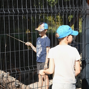 bezdomianki-lato-fot-zjak14.JPG
