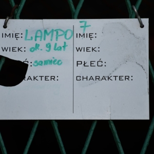 bezdomianki-lato-fot-zjak28.JPG