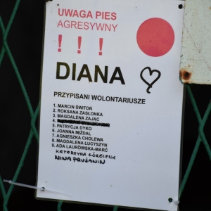 bezdomianki-lato-fot-zjak31.JPG