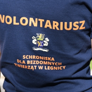 bezdomianki-lato-fot-zjak45.JPG