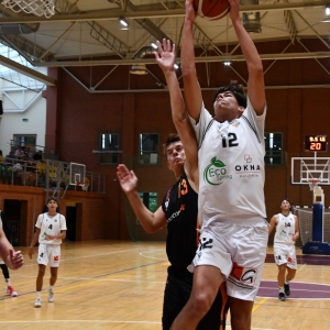 basket_legnica-siechnice_fot_dawid_soltys022.JPG