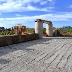 farma-dyni-fot-ewajak001.JPG