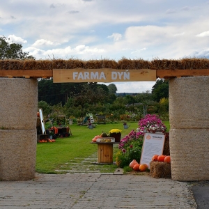 farma-dyni-fot-ewajak002.JPG