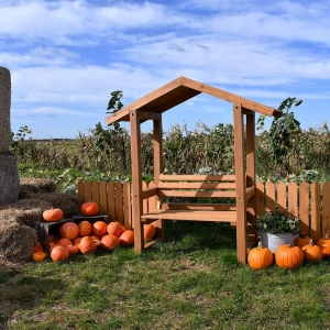 farma-dyni-fot-ewajak067.JPG