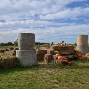farma-dyni-fot-ewajak073.JPG