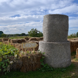 farma-dyni-fot-ewajak075.JPG