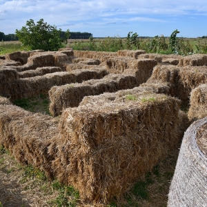 farma-dyni-fot-ewajak076.JPG