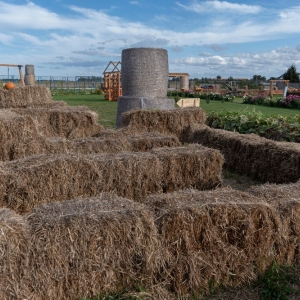 farma-dyni-fot-ewajak077.JPG