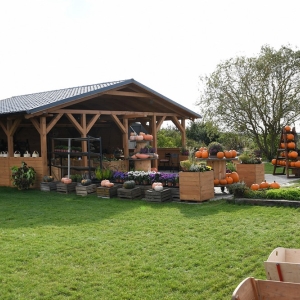 farma-dyni-fot-ewajak094.JPG