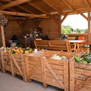 farma-dyni-fot-ewajak100.JPG