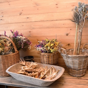 farma-dyni-fot-ewajak102.JPG