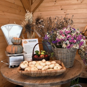 farma-dyni-fot-ewajak103.JPG