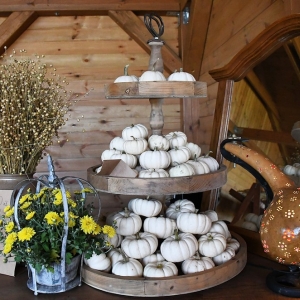 farma-dyni-fot-ewajak107.JPG