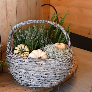 farma-dyni-fot-ewajak113.JPG
