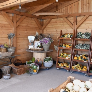 farma-dyni-fot-ewajak125.JPG