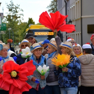 seniorzy-polkowice-fot-zjak050.JPG