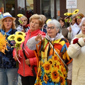 seniorzy-polkowice-fot-zjak101.JPG