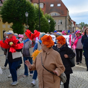 seniorzy-polkowice-fot-zjak112.JPG