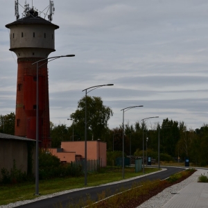 aleja-myrdy-fot-zbigniew-jakubowski025.jpg
