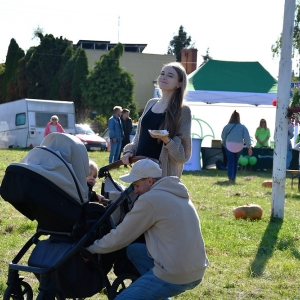 ziemniak-prochowice-fot-zjak03.JPG