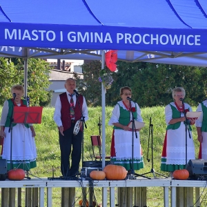 ziemniak-prochowice-fot-zjak21.JPG