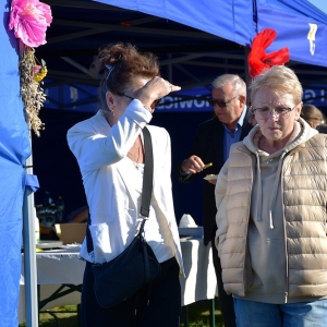 ziemniak-prochowice-fot-zjak26.JPG