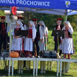 ziemniak-prochowice-fot-zjak43.JPG