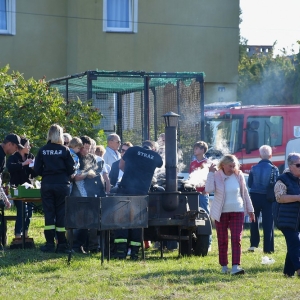 ziemniak-prochowice-fot-zjak57.JPG