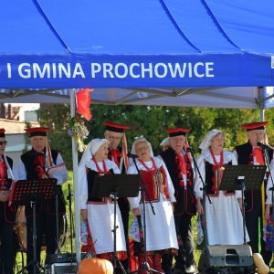 ziemniak-prochowice-fot-zjak60.JPG